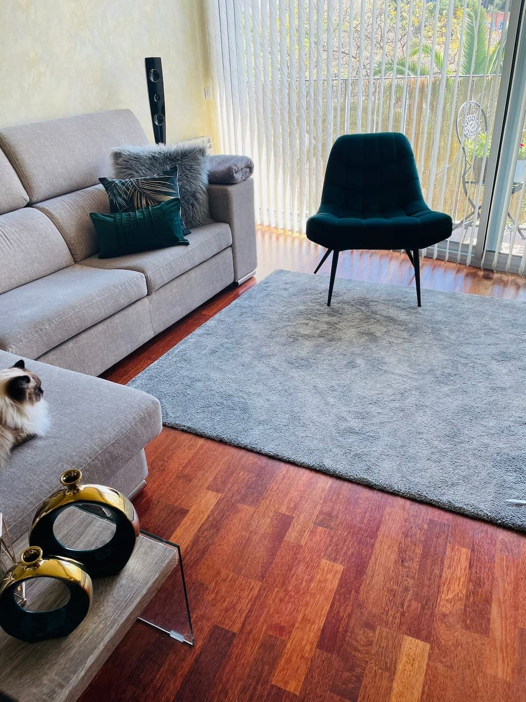 estancia con instalación de parquet resistente para mascotas
